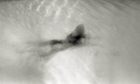analog 19