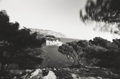 analog 23