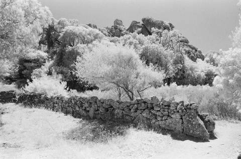 analog 36